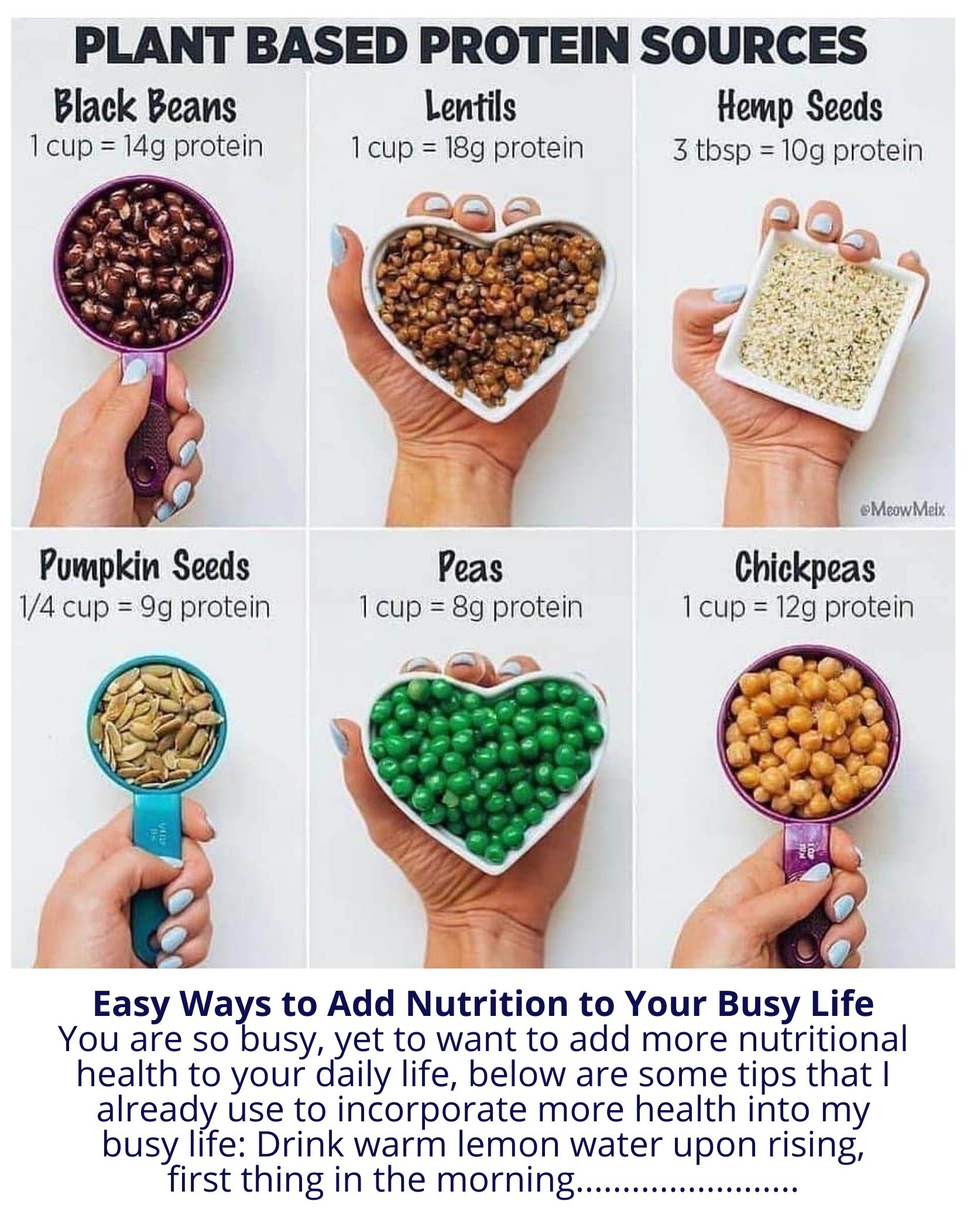 add nutrition to your busy life